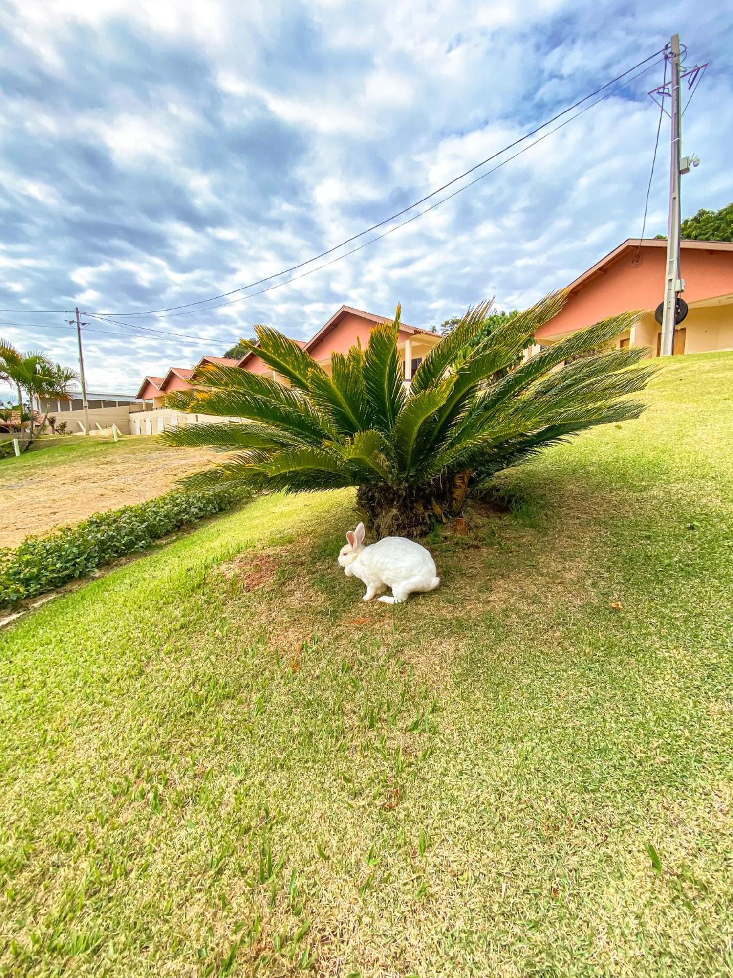 Pousada Flores Do Campo อากวัสจิลิงดอยา ภายนอก รูปภาพ